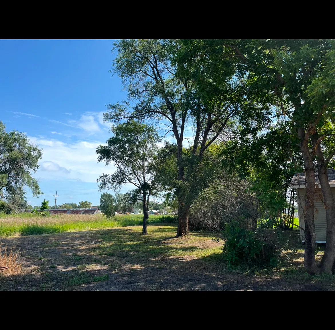 3 bed, 1.5 bath, 1050 sqft, $1,600 — Photo 3