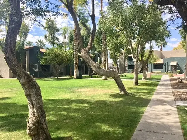 Paradise Greens — Photo 3