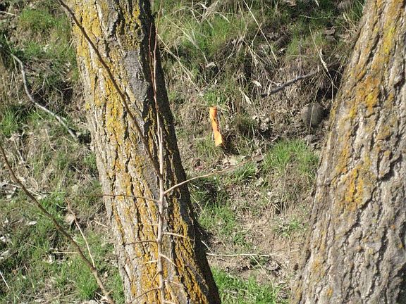 Westerly boundary marker