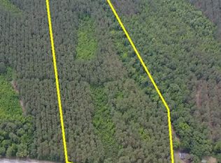 9214 Kingstree Hwy Tract B, Greeleyville, SC 29056