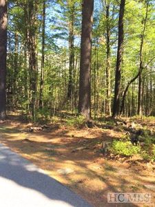 24 Cliff Ridge Road, Cashiers, NC, 28717