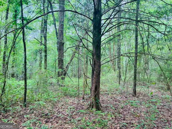 0 Wall St Tract B, Tallassee, AL 36078