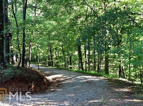 5th image of 0 Fowler Creek Dr #1-110