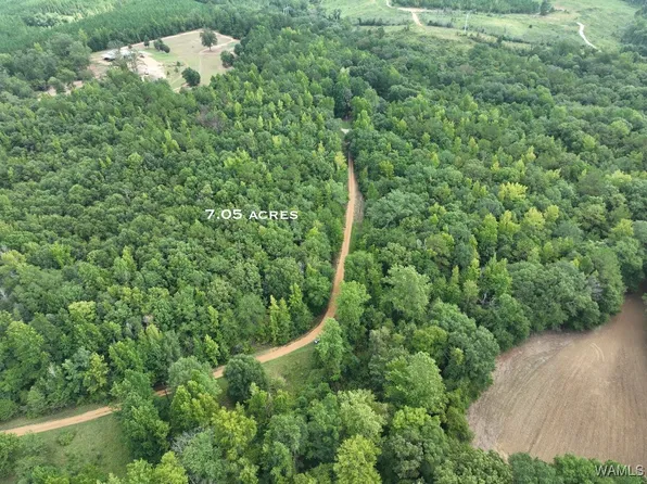 119 Twin Oaks Dr, Moundville, AL 35474