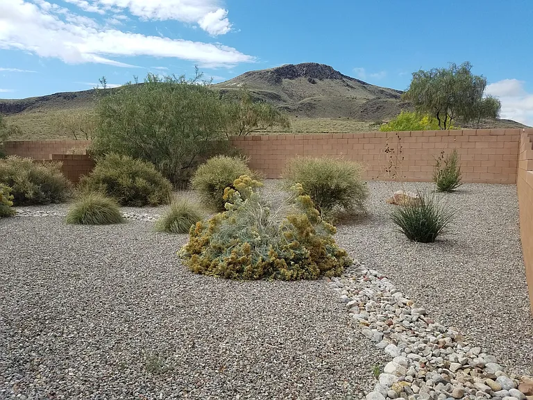 911 Desert Senna Ave SW — Photo 28
