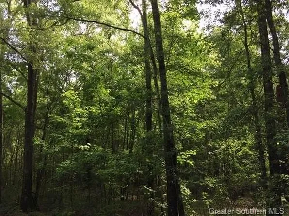 Camp Pearl Loop, Reeves, LA 70658