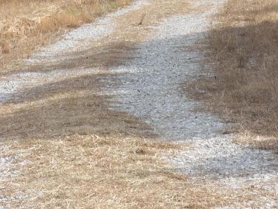 3rd image of 2656 Cane Creek Cummingsville Rd