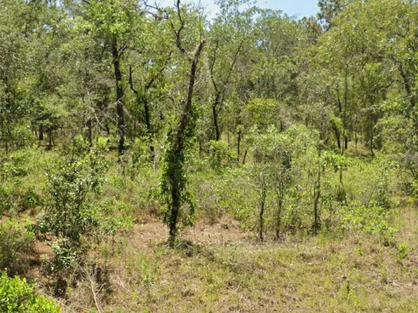 0 NW Mallard Ave, Dunnellon, FL 34431