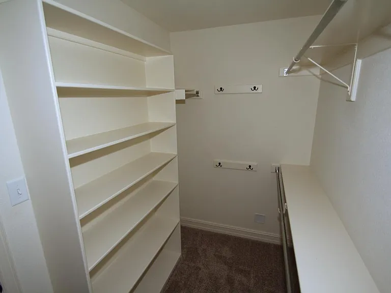 Master closet #1