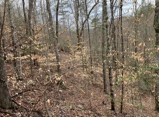 Davidson Ln, Tazewell, TN 37879