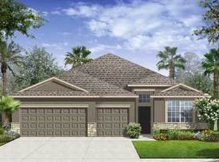 2412 Dakota Cliff St, Ruskin, FL 33570