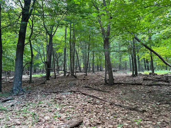 LOT 2B Louks Ln, Bedford, PA 15522