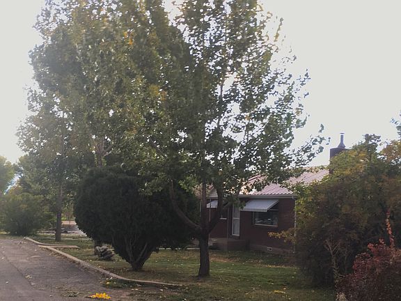 Front w/trees and bushes