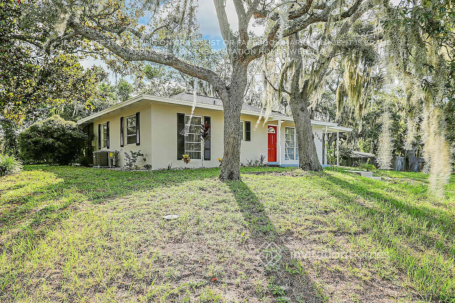 6960 Treehaven Dr Spring Hill, FL 34606 — Photo 3