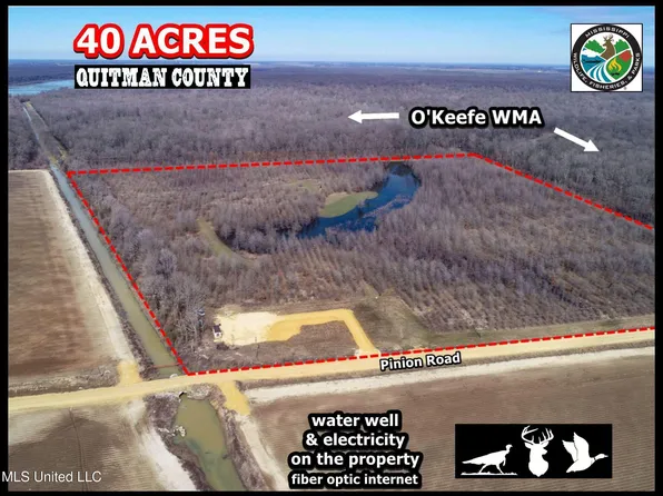 130 Pinion Rd, Lambert, MS 38643