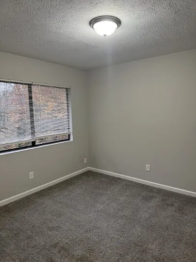 3930 Darryl Ln — Photo 8