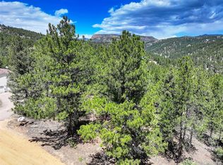 456 Lo Meadow Lane LOT 13, Bailey, CO 80421