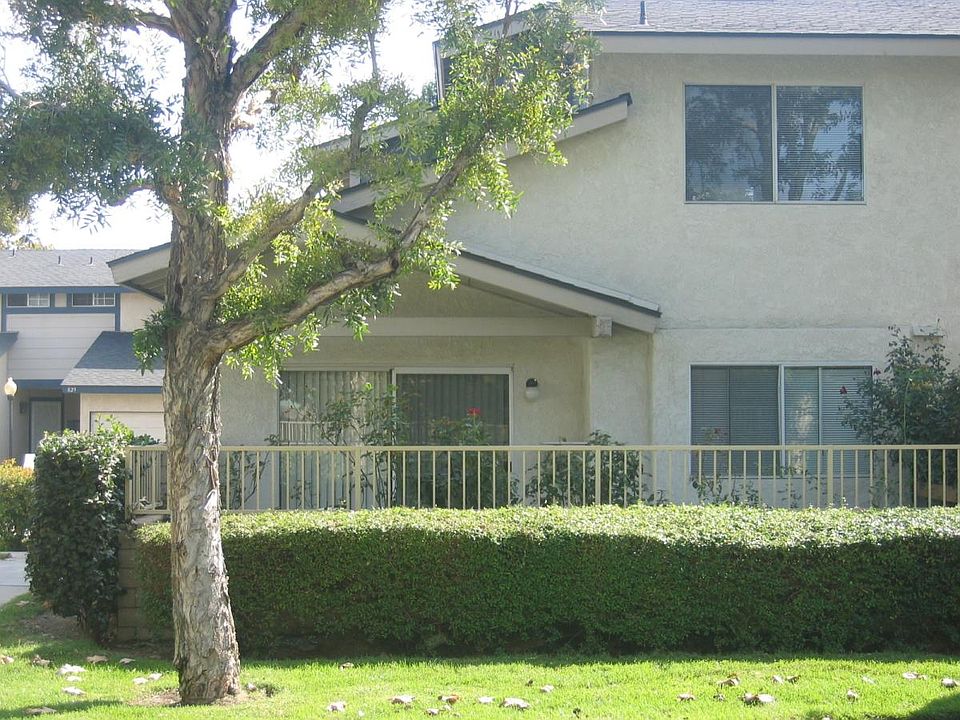 back view with greebelt view