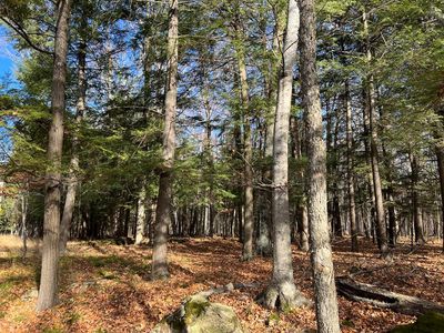 Cliff Top Rd, Sturgeon Bay, WI, 54235