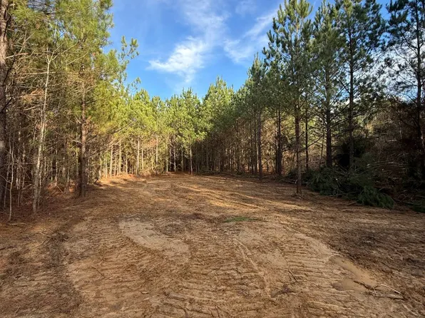 0 Mount Calvary Church Rd, Louisville, MS 39339