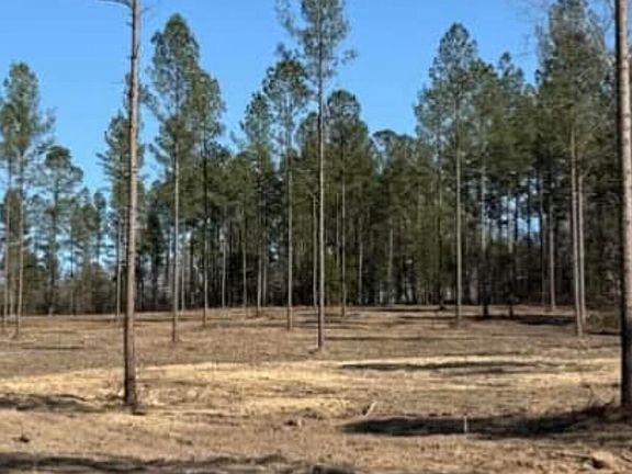 3rd image of Wrights Mill Rd