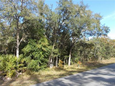 895 W Olympia St, Hernando, FL, 34442