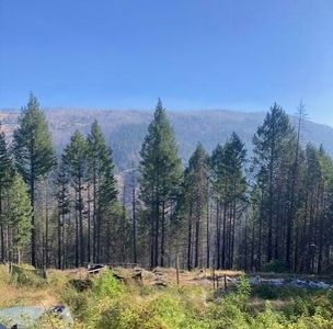 5931 Lower West Side Rd, Bridgeville, CA, 95526