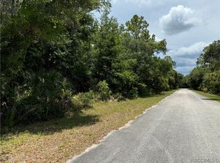9396 N China Pink Way, Crystal River, FL 34428