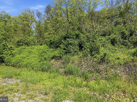 3rd image of 8849 Willowdale Rd Lot 23