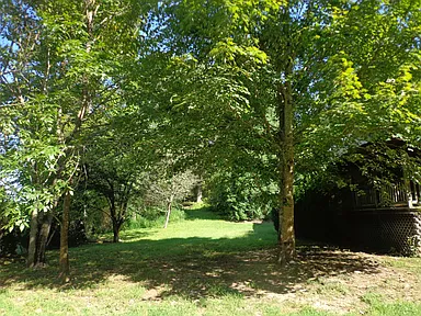 Property photo 55