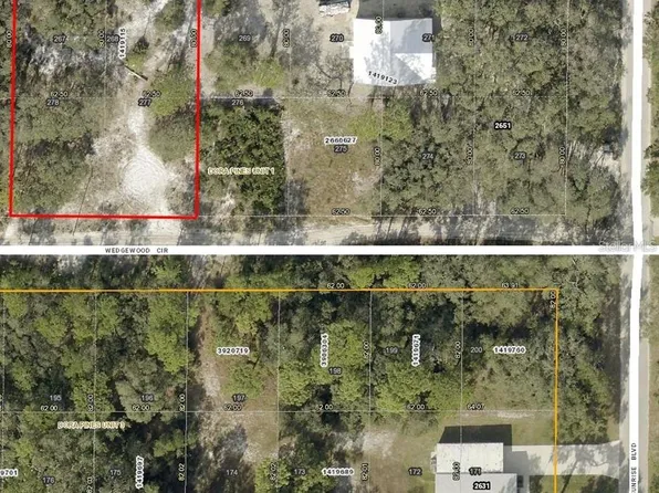 Wedgewood Dr, Mount Dora, FL 32757