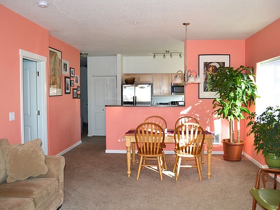 Cozy living + dining area