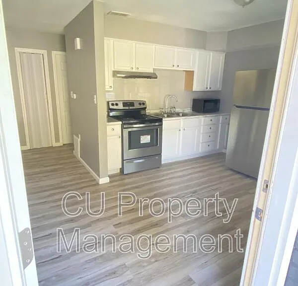 333 S Steffler St #4 — Photo 3