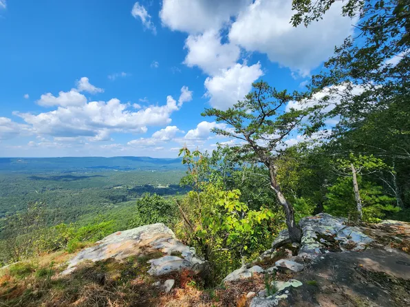 7182 Old State Rd, Menlo, GA 30731