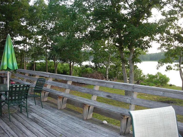 Deck and back yard