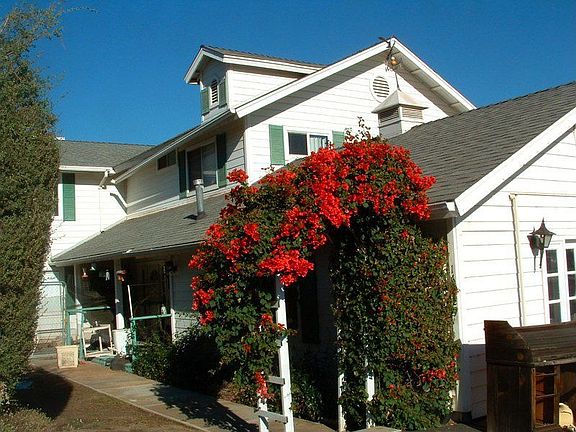 Front entrance with bouganvillea bower