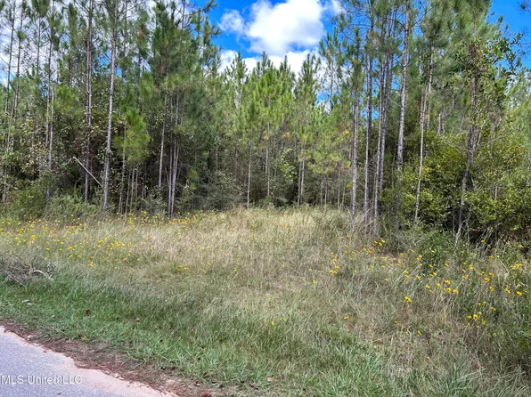 No Hazel Bounds, Vancleave, MS 39565