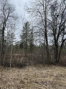  EVAN HILL ROAD #3, Crivitz, WI, 54114