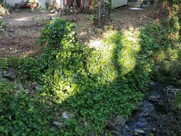 1950 Smith Flat Rd, Placerville, CA 95667