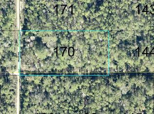 170 DILLLION AVENUE, HASTINGS, FL 32145