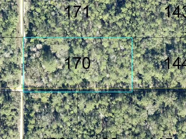 170 DILLLION AVENUE, HASTINGS, FL 32145