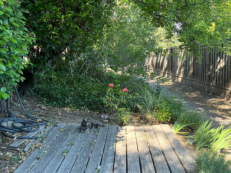 6491 Forestville St — Photo 38
