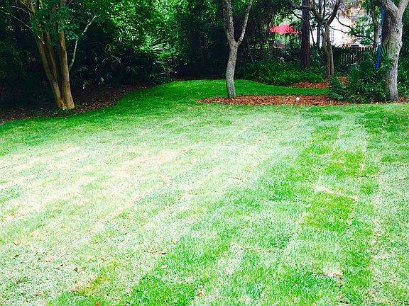 ENTIRE yard resod
