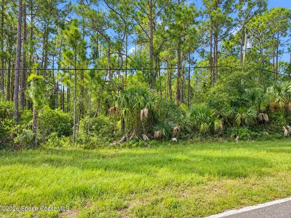 0 Fox Lake Rd, Titusville, FL 32780