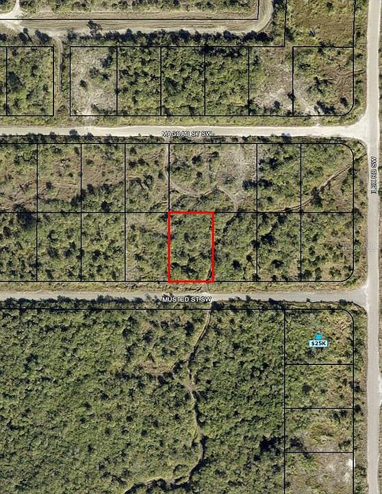 1st image of 1319 MUSTED STREET SW LOT 4