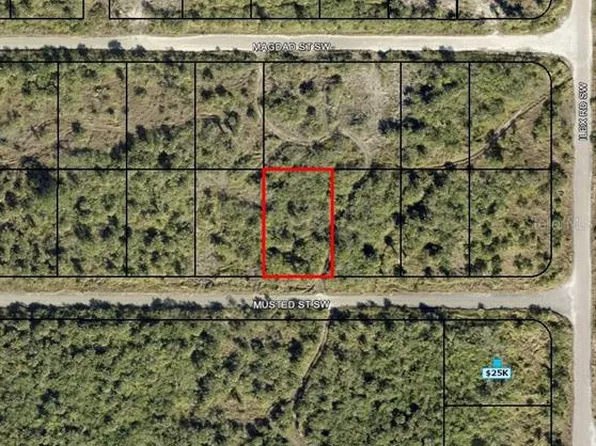 1319 MUSTED STREET SW LOT 4, PALM BAY, FL 32908