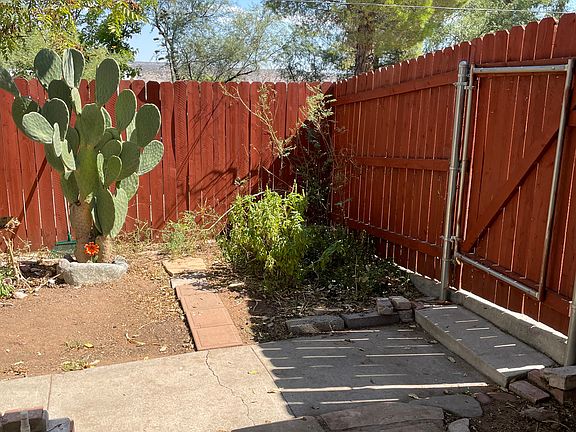 Back yard