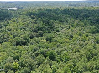 2997 Reaves Rd, Ashland, MS 38603