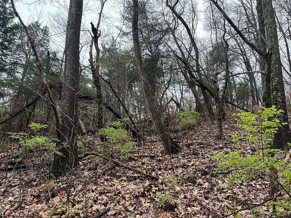 2nd image of Tom Treece Rd