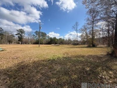 26307 Oliver Wheat Rd, Livingston, LA, 70754
